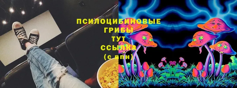 Псилоцибиновые грибы Magic Shrooms  Собинка 